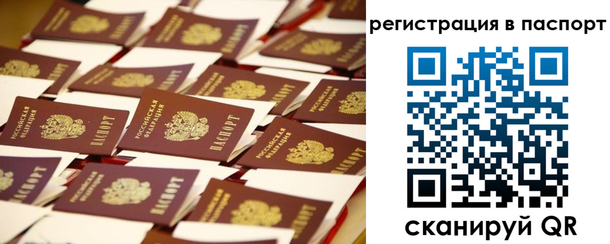 прописка гарантия в Дзержинском